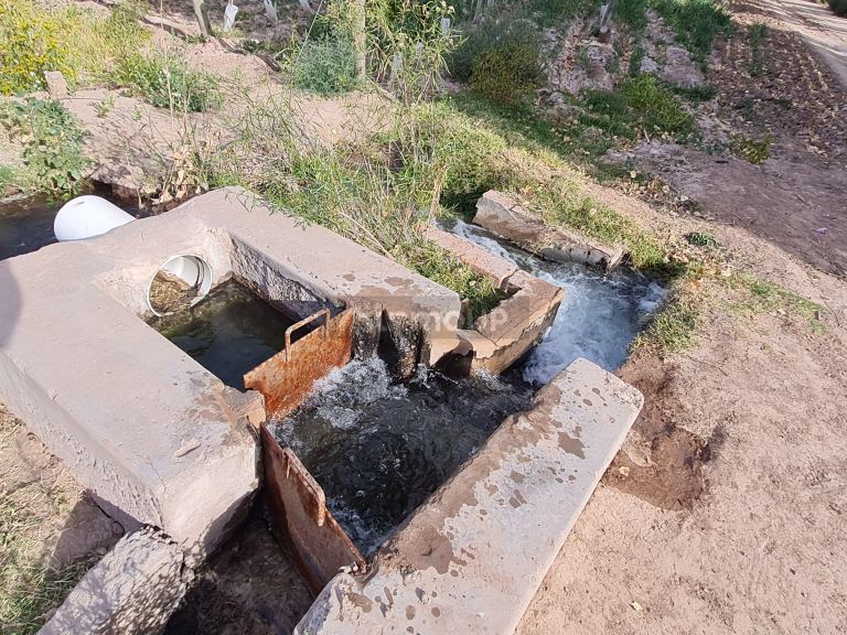 Finca en Venta en Lujan de Cuyo, Mendoza