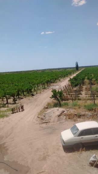 Finca en Venta en Santa Rosa, Mendoza