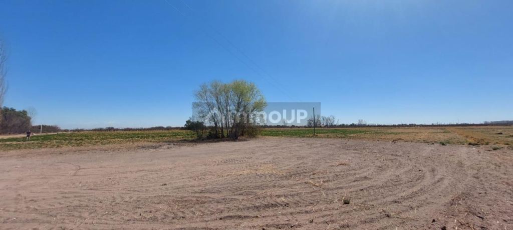 Finca en Venta en Rivadavia, Mendoza