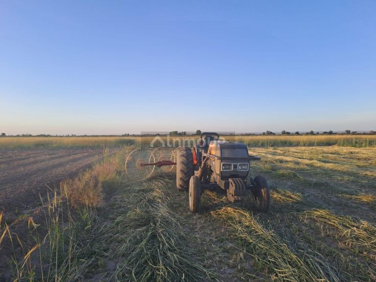 Finca en Venta en Rivadavia, Mendoza