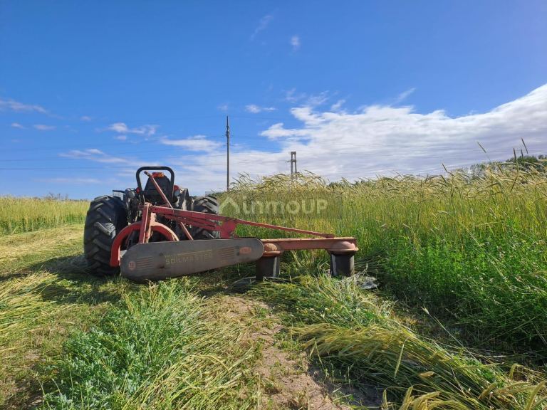Finca en Venta en Rivadavia, Mendoza