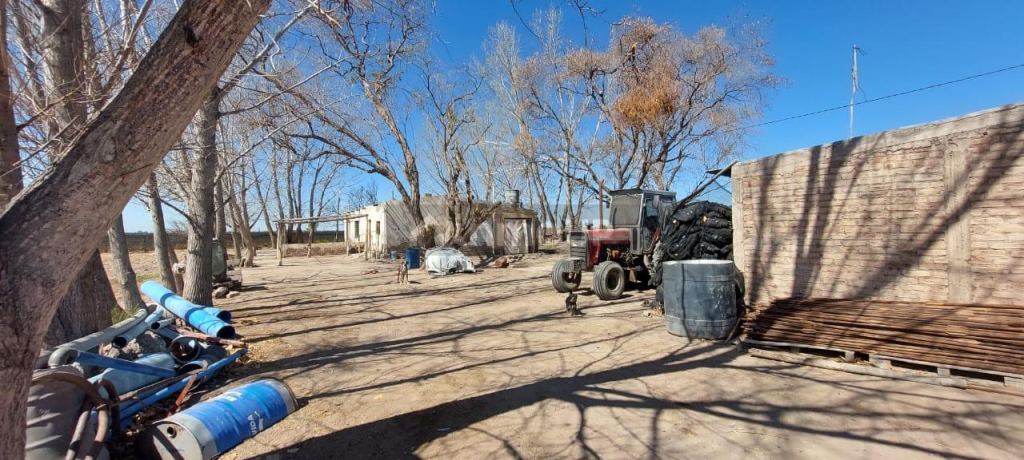Finca en Venta en Rivadavia, Mendoza