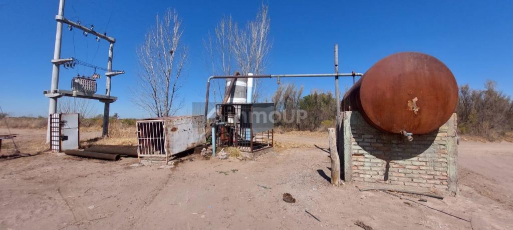 Finca en Venta en Rivadavia, Mendoza