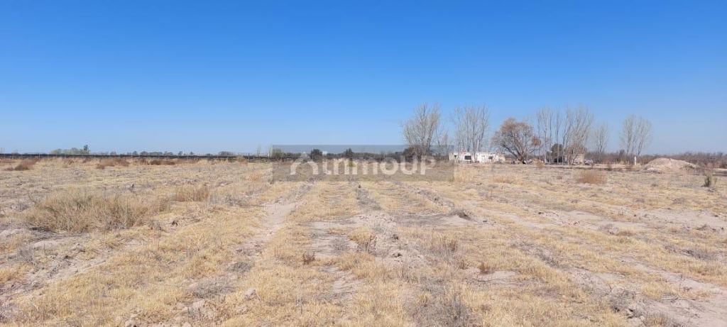 Finca en Venta en Rivadavia, Mendoza