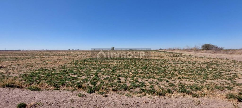 Finca en Venta en Rivadavia, Mendoza