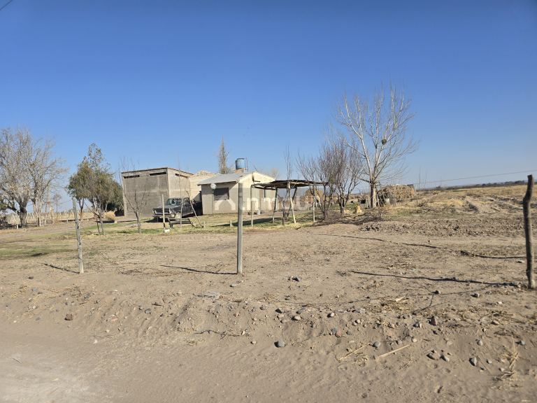 Finca en Venta en Rivadavia, Mendoza