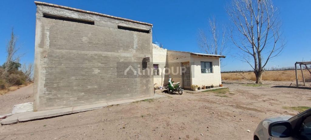 Finca en Venta en Rivadavia, Mendoza