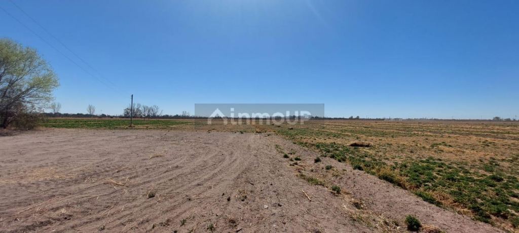 Finca en Venta en Rivadavia, Mendoza