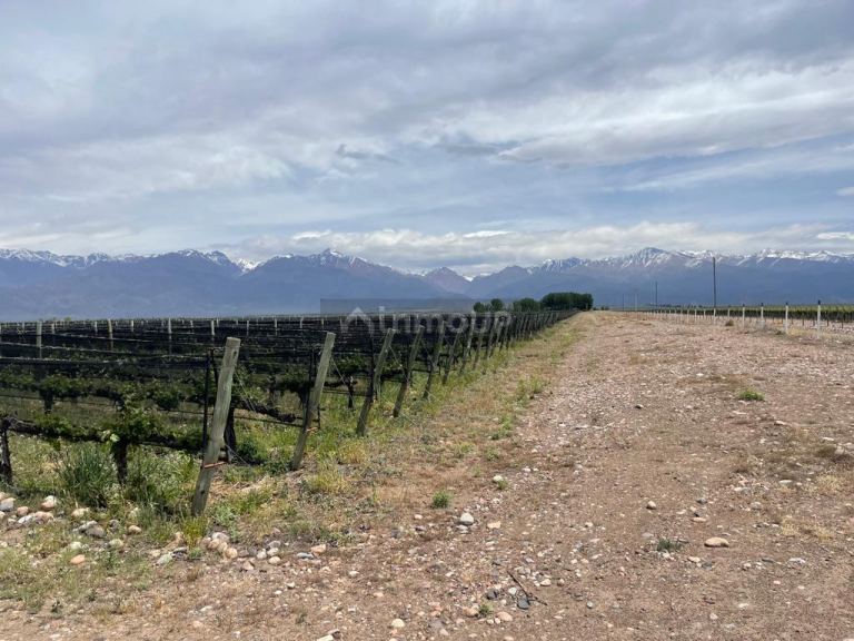 Finca en Venta en Tunuyan, Mendoza