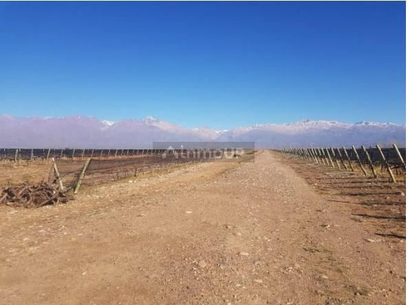 Finca en Venta en Tunuyan, Mendoza