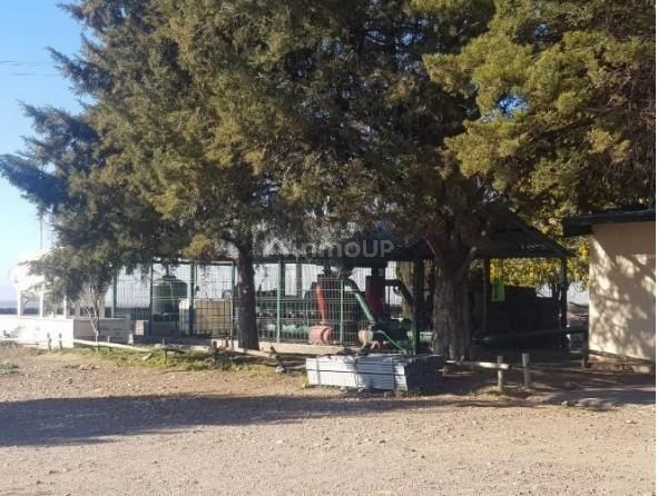 Finca en Venta en Tunuyan, Mendoza