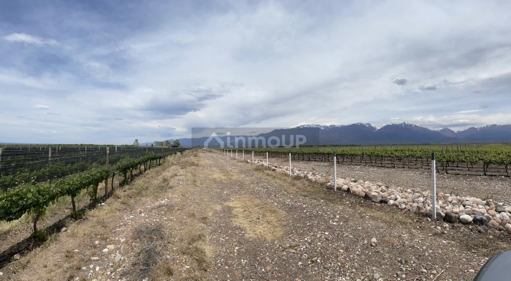Finca en Venta en Tunuyan, Mendoza