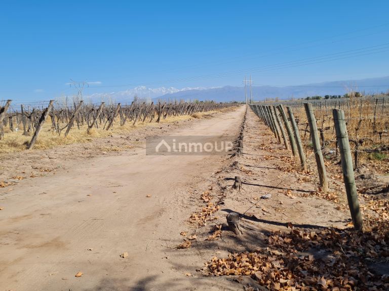 Finca en Venta en Maipu, Mendoza