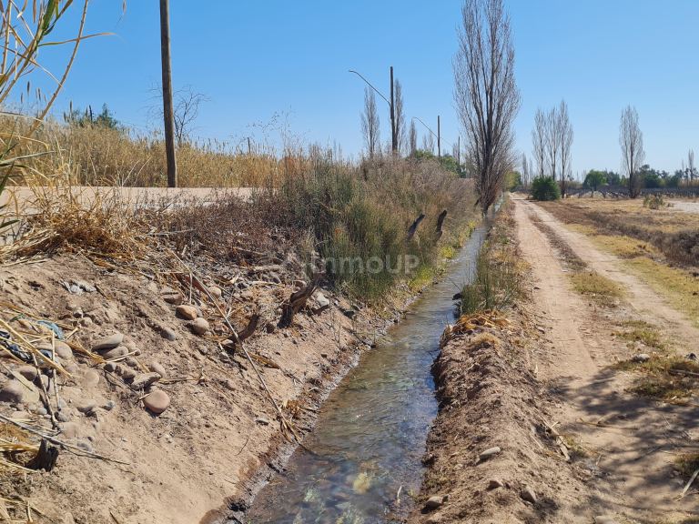 Finca en Venta en Maipu, Mendoza
