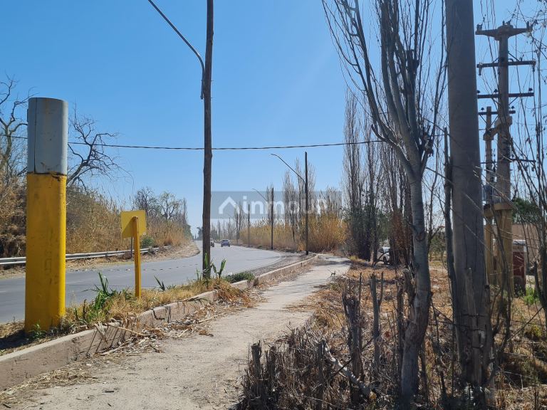 Finca en Venta en Maipu, Mendoza