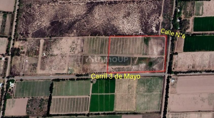 Finca en Venta en Lavalle, Mendoza