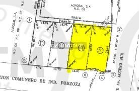 Lote en Venta en Lujan de Cuyo, Mendoza