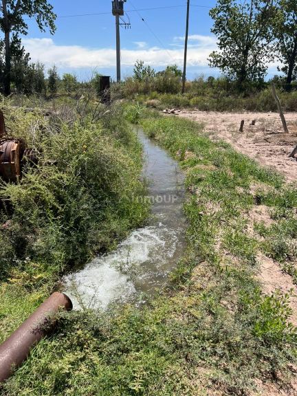 Finca en Venta en San Martin, Mendoza