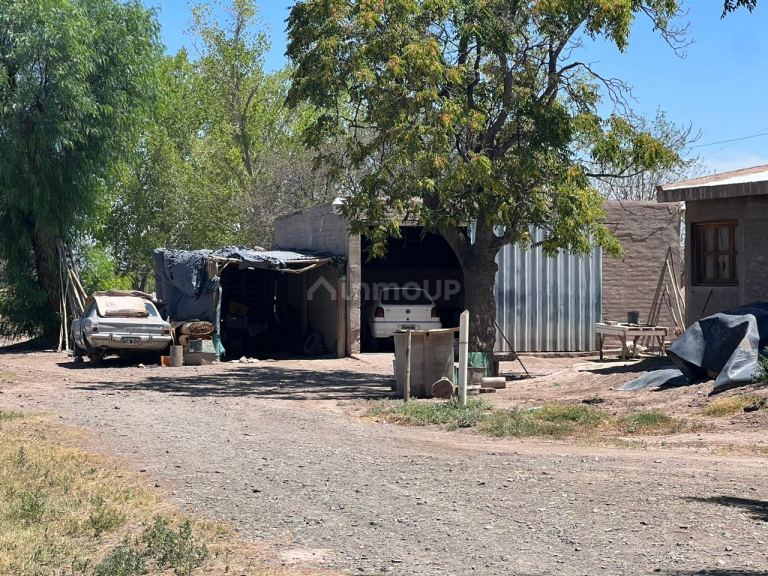 Finca en Venta en San Martin, Mendoza
