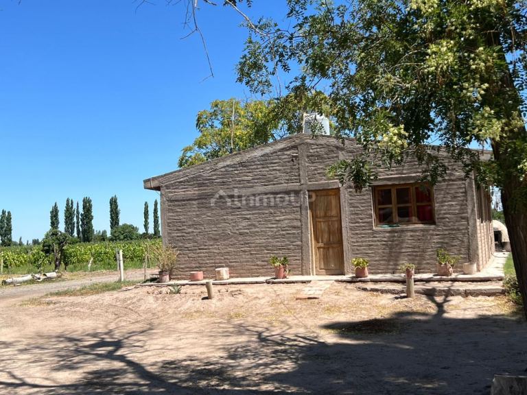Finca en Venta en San Martin, Mendoza