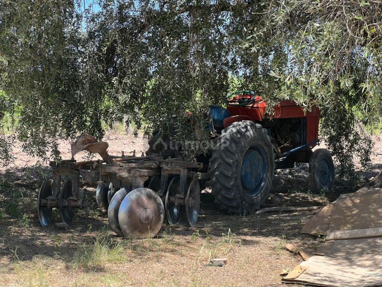 Finca en Venta en San Martin, Mendoza
