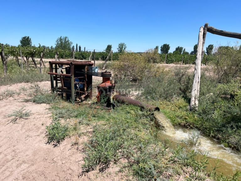 Finca en Venta en San Martin, Mendoza