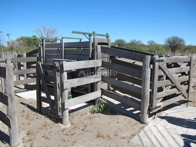 Campo en Venta en San Rafael, Mendoza
