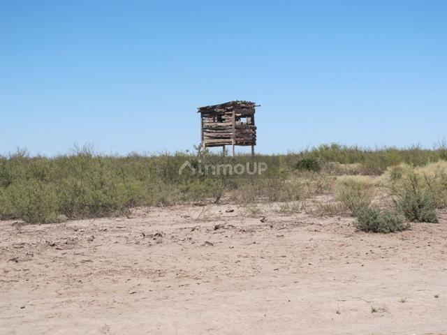 Campo en Venta en San Rafael, Mendoza
