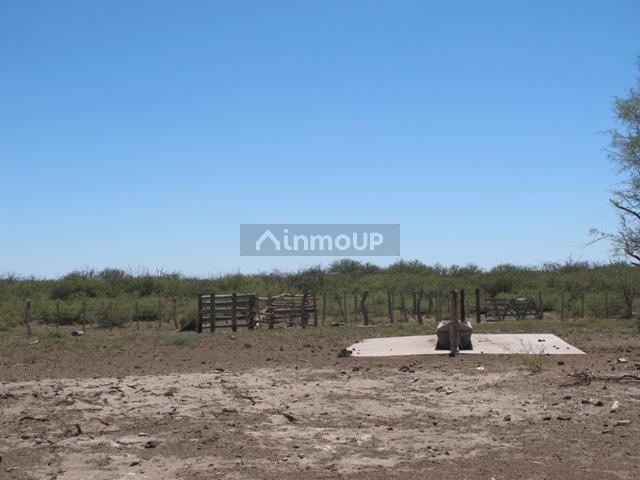 Campo en Venta en San Rafael, Mendoza