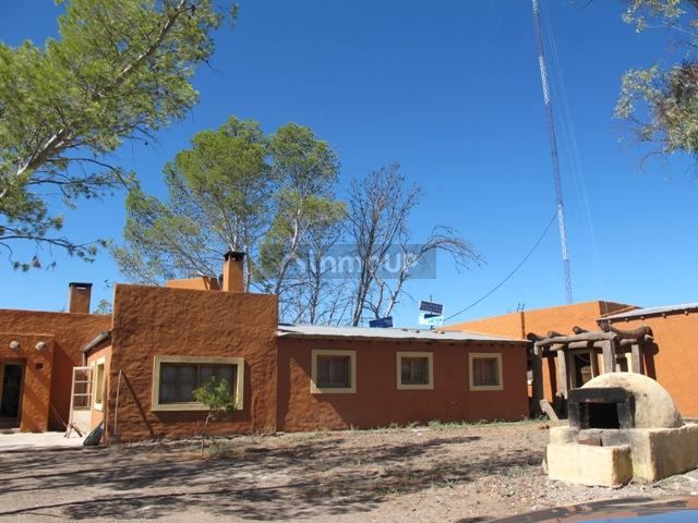 Campo en Venta en San Rafael, Mendoza
