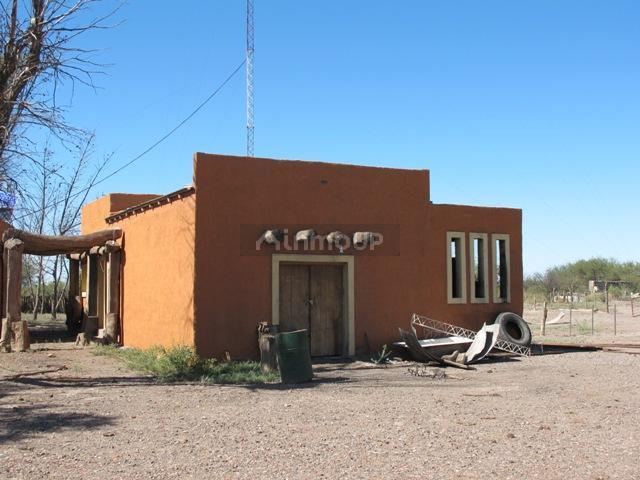 Campo en Venta en San Rafael, Mendoza