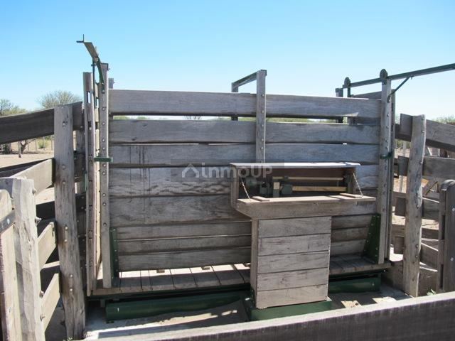 Campo en Venta en San Rafael, Mendoza