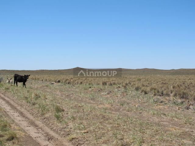Campo en Venta en San Rafael, Mendoza
