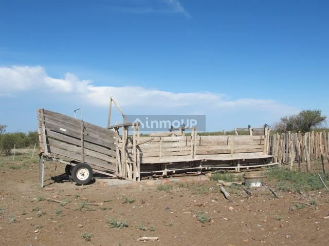 Campo en Venta en San Rafael, Mendoza