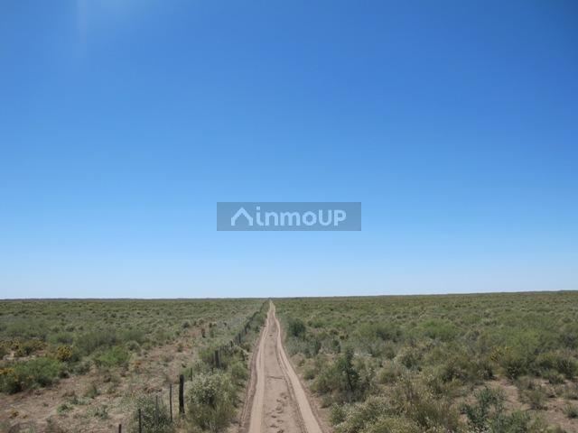 Campo en Venta en San Rafael, Mendoza