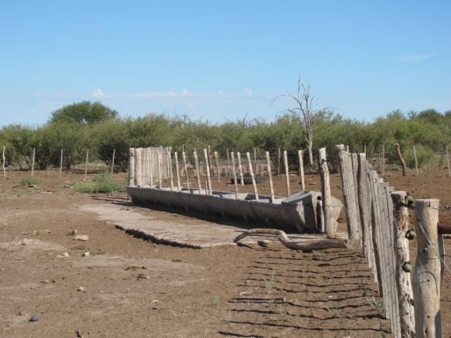 Campo en Venta en San Rafael, Mendoza