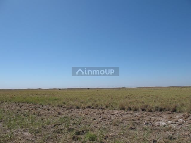 Campo en Venta en San Rafael, Mendoza