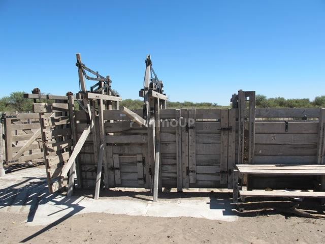 Campo en Venta en San Rafael, Mendoza