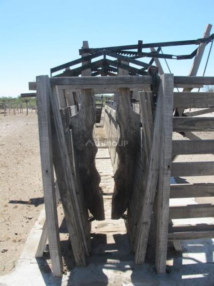 Campo en Venta en San Rafael, Mendoza
