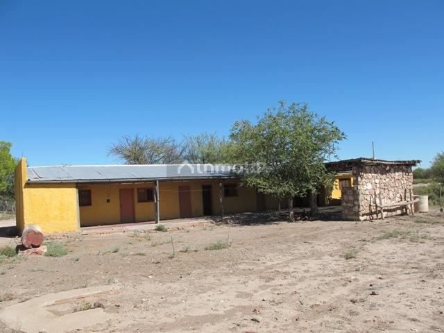 Campo en Venta en San Rafael, Mendoza
