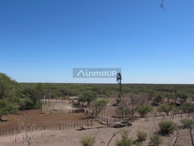 Campo en Venta en San Rafael, Mendoza