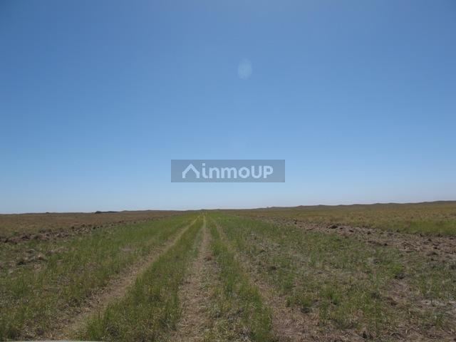 Campo en Venta en San Rafael, Mendoza