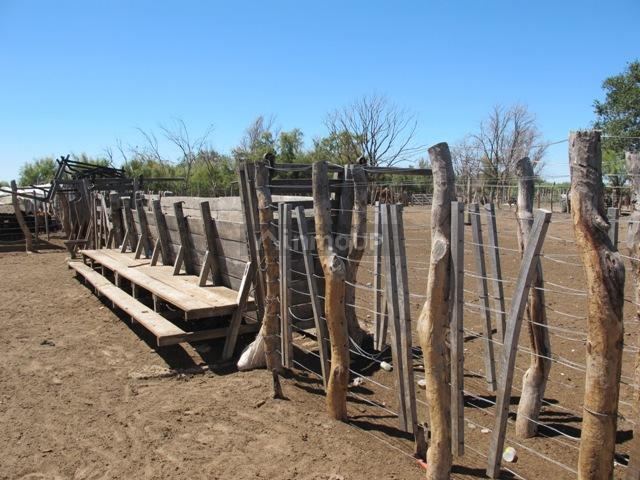 Campo en Venta en San Rafael, Mendoza