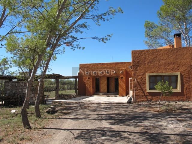 Campo en Venta en San Rafael, Mendoza