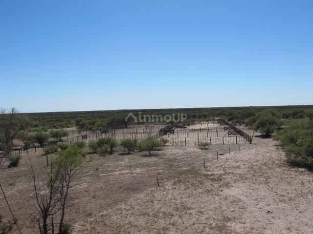 Campo en Venta en San Rafael, Mendoza