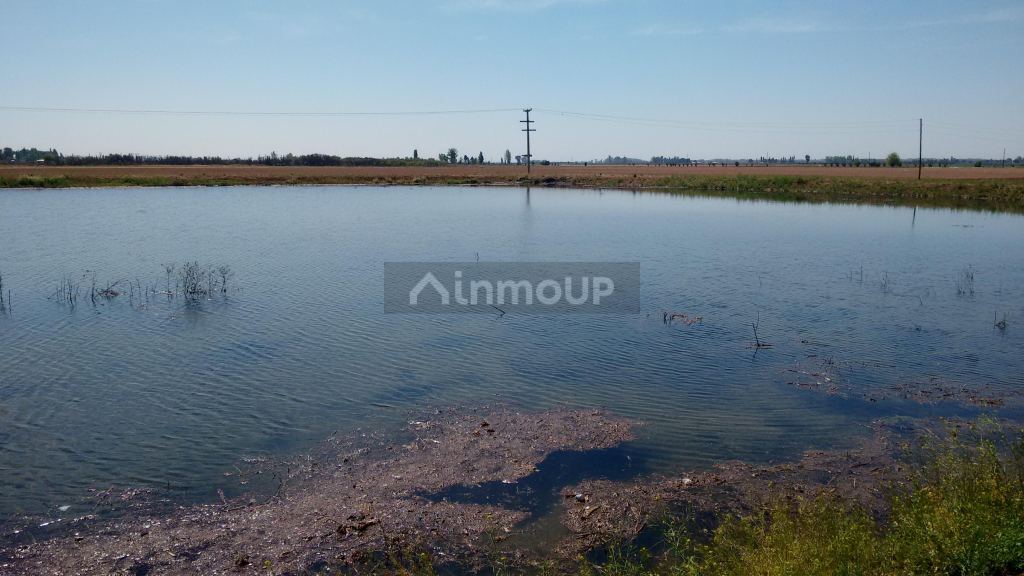 Finca en Venta en Maipu, Mendoza