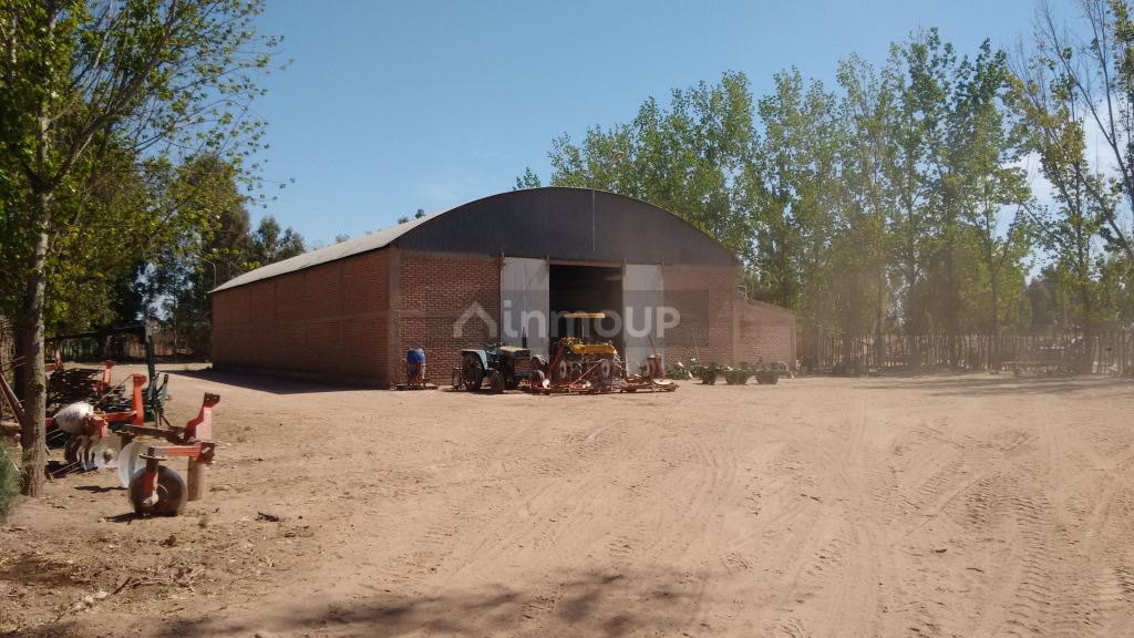 Finca en Venta en Maipu, Mendoza