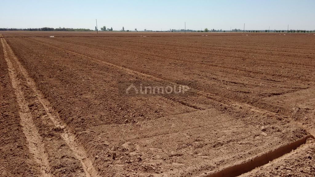 Finca en Venta en Maipu, Mendoza
