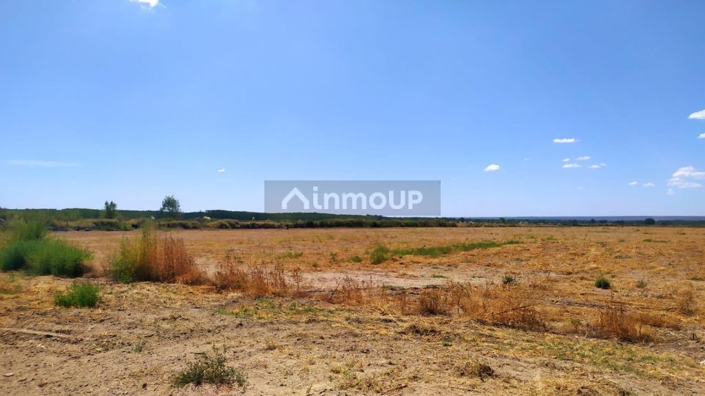 Finca en Venta en Tunuyan, Mendoza