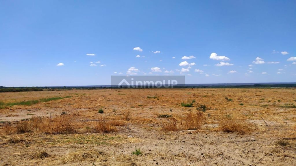 Finca en Venta en Tunuyan, Mendoza